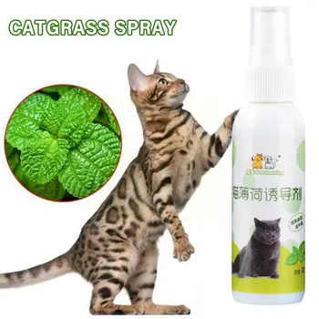 50ml Cat Catnip Spray Ingrediente Sănătoase Catnip Spray Pentru Pisici Pisicile si Atractant Ușor De Utilizat și în condiții de Siguranță Pentru animalele de Companie Cadouri Pentru K7L6