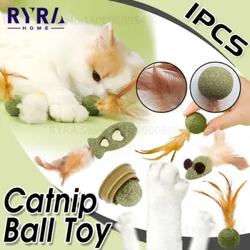 Animale De Companie Catnip Jucării Pisica Menta Mingea Comestibile Catnip Bile De Siguranță Sănătos Curata Dintii Jucărie Pentru Pisică Alimentare Cu Menta Pisica Urmarind Interactive Toy