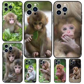 Copil drăguț Maimuță Animale de Telefon Caz Pentru iPhone 15 14 13 12 11 Pro Mini Max 7 8 Plus XS X XR SE 2020 2022 Capacul din Spate